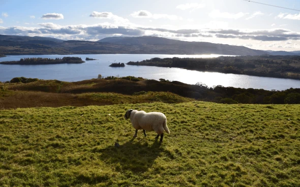 Pathways to the Heart of Scotland (Duplicated)